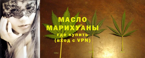 соль ск Дмитриев