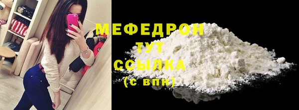 соль ск Дмитриев