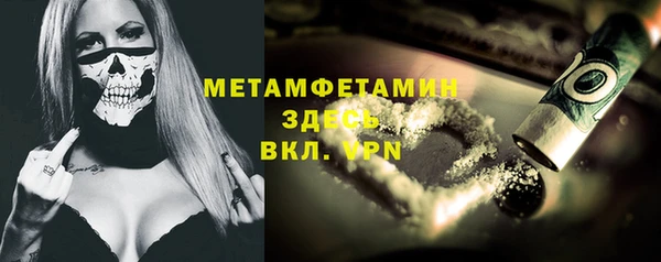 соль ск Дмитриев