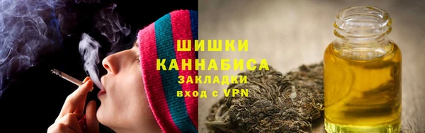 соль ск Дмитриев