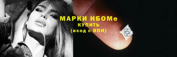 твердый Дмитровск