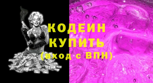 соль ск Дмитриев