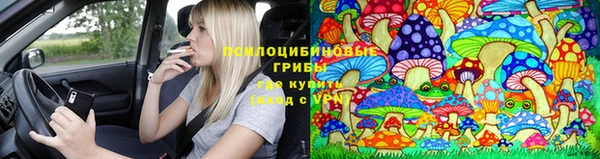 герыч Гусь-Хрустальный