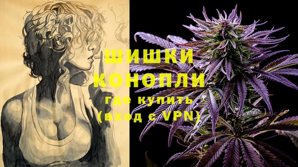 шишки Гусев
