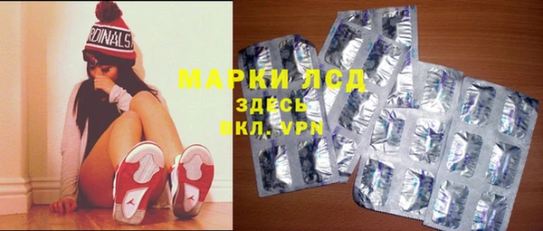 твердый Дмитровск