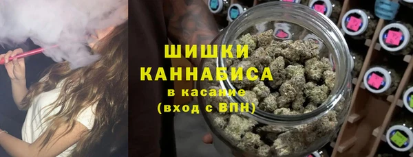 твердый Дмитровск
